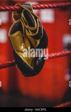 Yellow boxing gloves hanging off the boxing ring Stock Photo