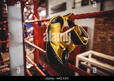 Yellow boxing gloves hanging off the boxing ring Stock Photo