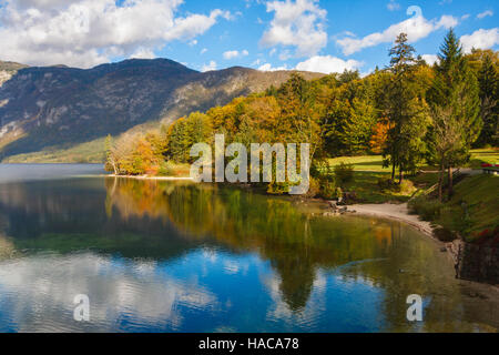 Trees with beautiful autumn colors under a blue sky reflect in the Bohinj lake of the Triglav National Park, Slovenia. Stock Photo