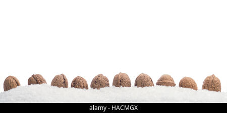 Delicious walnuts in snow on a white background Stock Photo