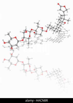 Digitoxin. Molecular model of the cardiac glycoside chemical digitoxin (C41.H64.O13). Similar to digoxin, and also initially obtained from the foxglove plant, digitoxin is less used due medicinally due to its stronger and toxic effects. Atoms are represented as spheres and are colour-coded: carbon (grey), hydrogen (white) and oxygen (red). Illustration. Stock Photo