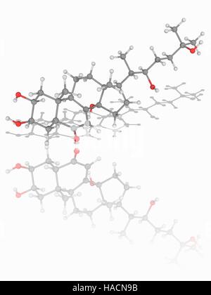 Ecdysone. Molecular model of the steroidal prohormone ecdysone (C27.H44.O6). This is precursor of the major insect moulting hormone ecdysterone (20-hydroxyecdysone). Atoms are represented as spheres and are colour-coded: carbon (grey), hydrogen (white) and oxygen (red). Illustration. Stock Photo