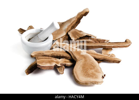 Dried lingzhi mushroom (Also called as Reishi mushroom in Japan, Lingcheu in Thailand, Lingzhi mushroom in China, Ganoderma Lucidum Karst or lacquered Stock Photo
