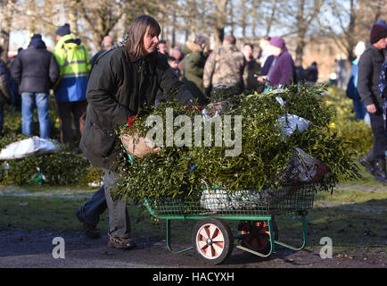 A woman pushes a trolley of mistletoe during the annual mistletoe and holly auction at Burford House Garden Stores in Tenbury Wells, Worcestershire. Stock Photo