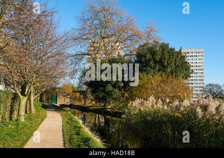 The New River Path at Woodberry Wetlands Nature Reserve in North London, UK Stock Photo