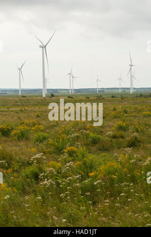 wind turbine farm Nova Scotia Canada Stock Photo