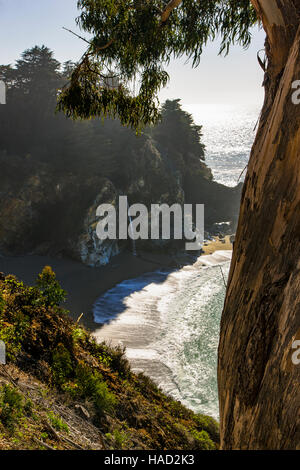 McWay Falls, Julia Pfeiffer Burns State Park, Big Sur, California, USA Stock Photo