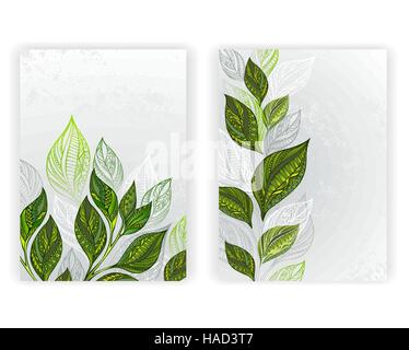 Design with patterned, green and gray leaves of tea on a gray textural background. Tea design.  layout in A4 size. Stock Vector