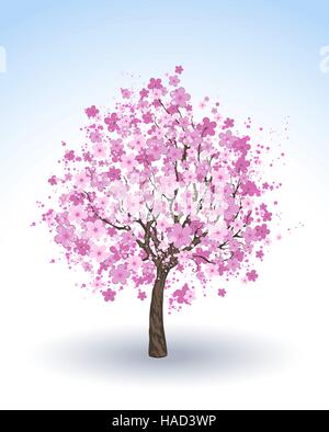 artistically painted pink flowering cherry tree on a white background . Stock Vector