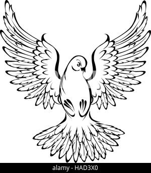 Dove Line Drawing At Getdrawings  Dove Flying On Black And White  Transparent PNG  958x1096  Free Download on NicePNG