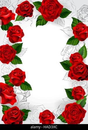 Frame of red roses blooming roses and outline on a white background. Stock Vector