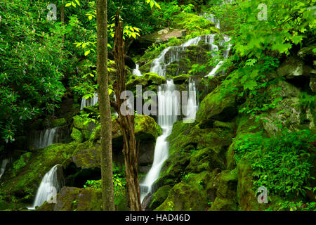 Waterfall along Lehigh Gorge Trail, Lehigh Gorge State Park, Pennsylvania Stock Photo