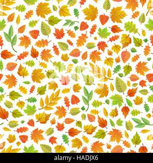 A lot of cute autumn leaves from different kind of trees on white, seamless pattern Stock Vector