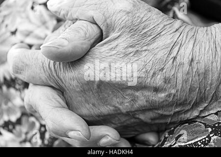 Old hands with wrinkles, aging and life Stock Photo