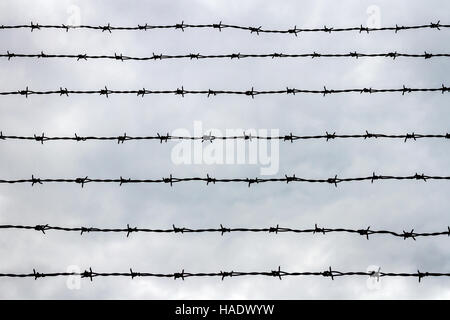 Fence with barbed wire against gray sky. Depressive background Stock Photo