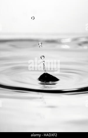 A macro shot of drops of water dripping from a plant Stock Photo - Alamy