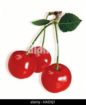 Three sour cherries on a stalk Stock Photo