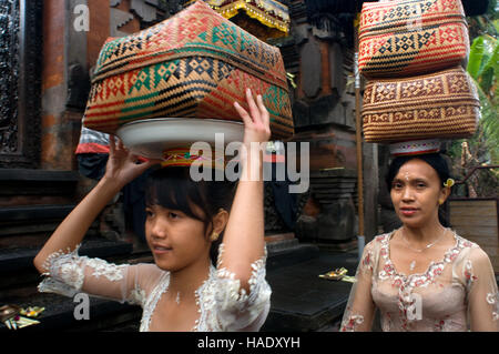 Many women turn to the Holy Book Monkey Forest to pray and leave offerings for the celebration of Galungan. Galungan festival, the most important of B Stock Photo