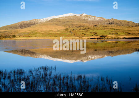 Mount Snowdon peak with snow reflected in calm waters of part frozen Llyn y Gader lake in Snowdonia National Park Rhyd-Ddu Beddgelert Gwynedd Wales UK Stock Photo