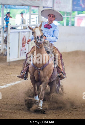 Charro participates at the 23rd International Mariachi & Charros festival in Guadalajara Mexico Stock Photo