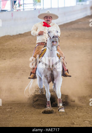 Charro participates at the 23rd International Mariachi & Charros festival in Guadalajara Mexico Stock Photo