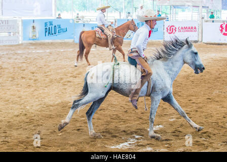 Charro participates at the 23rd International Mariachi & Charros festival in Guadalajara Mexico Stock Photo