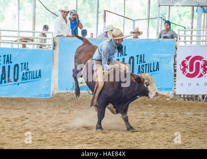 Charro participates at the 23rd International Mariachi & Charros festival in Guadalajara Mexico Stock Photo