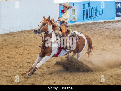 Charro participates at the 23rd International Mariachi & Charros festival in Guadalajara Mexico Stock Photo