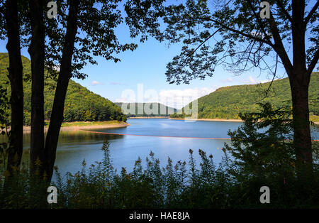 Allegheny National Forest Stock Photo