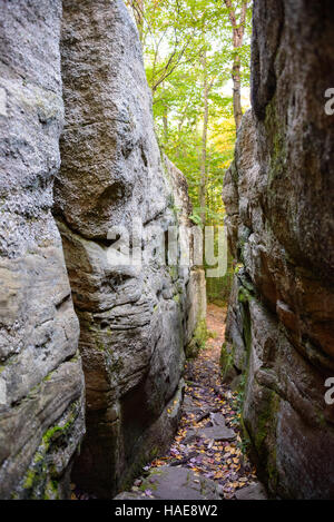 Worlds End State Park Stock Photo