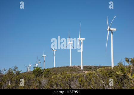 Kumeyaay wind power project electricity generating wind turbine farm, at Tecate Divide, Southern California Stock Photo