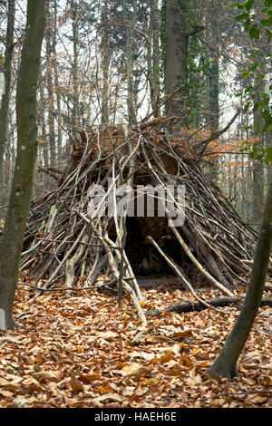 Makeshift house in the woods Stock Photo