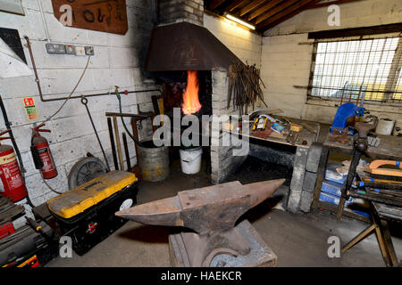 A farrier's workshop. Stock Photo