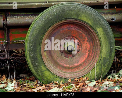 green lichen growing on old tyre tire on rusty red wheel of abandoned farm trailer on leafy roadside verge Stock Photo