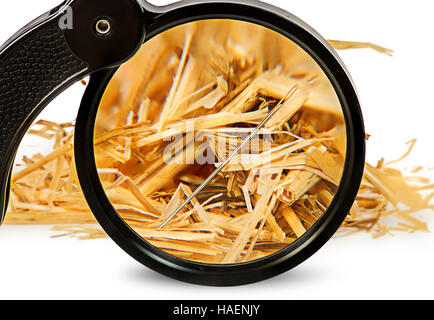 Magnifier enlarges a needle in haystack isolated on white background Stock Photo