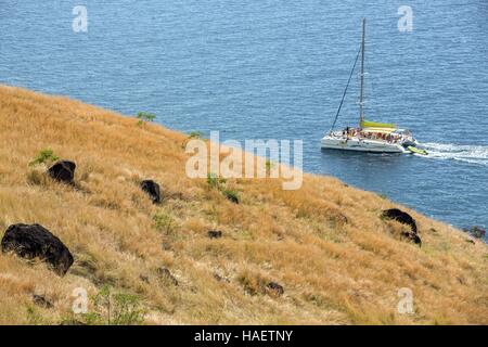 ILLUSTRATION OF MARTINIQUE, FRENCH ANTILLES, FRANCE Stock Photo