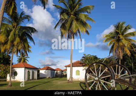 ILLUSTRATION OF MARTINIQUE, FRENCH ANTILLES, FRANCE Stock Photo