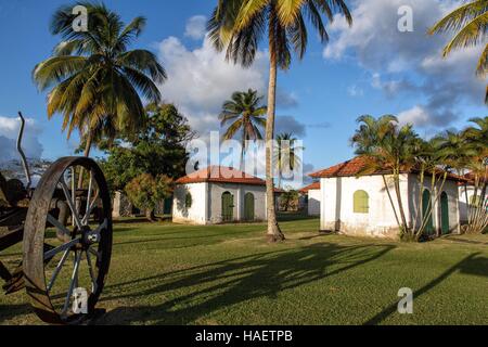 ILLUSTRATION OF MARTINIQUE, FRENCH ANTILLES, FRANCE Stock Photo