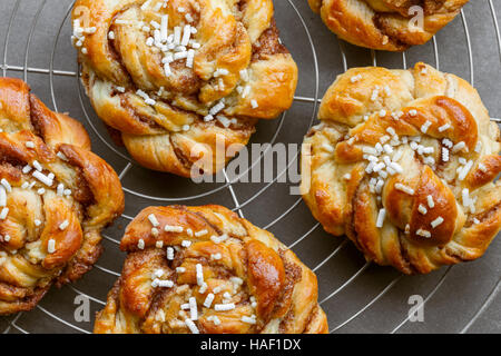 Sweet cinnamon bun rolls on cake rack Stock Photo