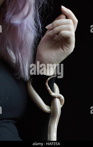 A teenage girl holding a snake. Stock Photo
