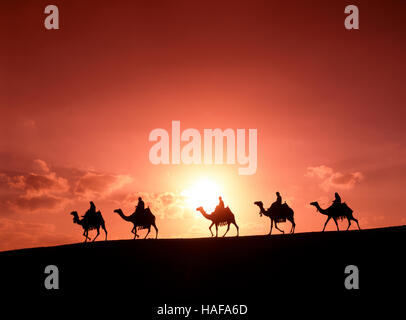 Camel train at sunset in the Sahara Desert, Egypt Stock Photo