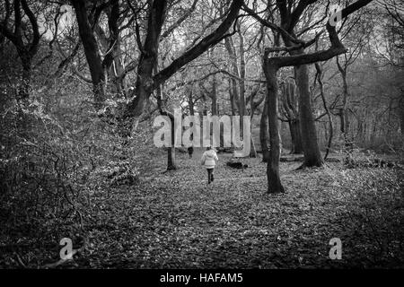 Autumn Scenes in Judy Woods, Bradford, West Yorkshire. Stock Photo