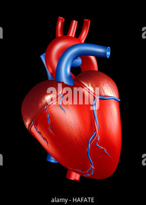 Human Heart 3D Illustration isolated on black background Stock Photo