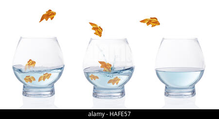 Heading for calmer waters - stylised goldfish leaping from choppy water to calm water Stock Photo