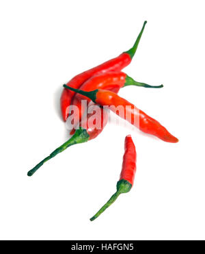 Red hot spicy chili pepper (Also named as chile pepper, Capsicum annuum, Capsicum frutescens, Capsicum chinense, Capsicum Chili, Capsicum pubescens, C Stock Photo