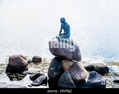 Denmark, Zealand, Copenhagen, The Little Mermaid bronce statue at Langelinie promenade Stock Photo