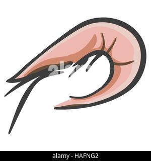 shrimp hand illustration Stock Vector