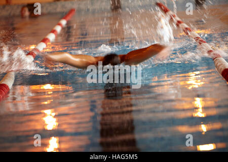 MAN SWIMMING BUTTERFLY STROKE POOL LANES Stock Photo