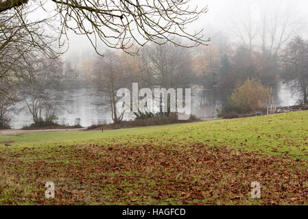 Brentwood, Essex, 1st December 2016, Misty morning in Weald Park Credit:  Ian Davidson/Alamy Live News Stock Photo