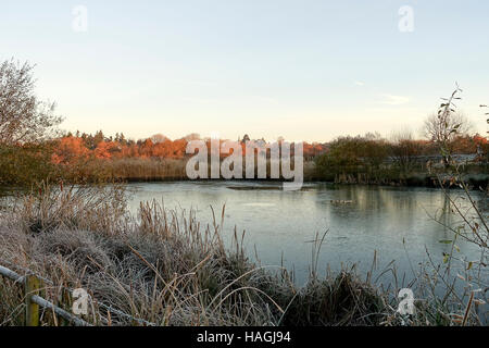 Godalming, Surrey, London, UK. 1st Dec, 2016. UK Weather 1st December 2016: Tuesley Lane, Godalming. High pressure anticyclonic conditions prevailed across the Home Counties bringing cold and frosty weather. Godalming in Surrey at dawn. Credit:  james jagger/Alamy Live News
